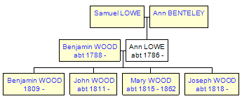 Mini tree diagram