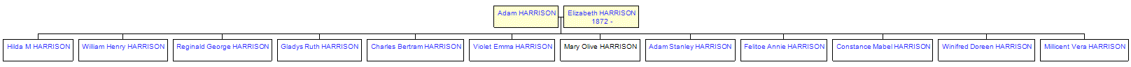 Mini tree diagram