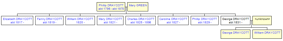 Mini tree diagram