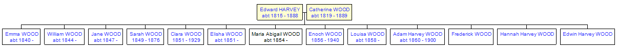 Mini tree diagram