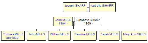 Mini tree diagram