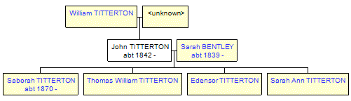 Mini tree diagram