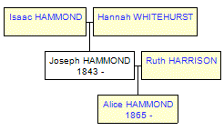 Mini tree diagram
