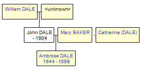 Mini tree diagram