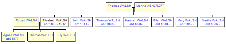 Mini tree diagram