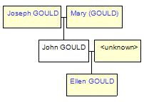 Mini tree diagram