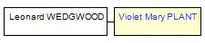 Mini tree diagram