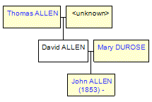 Mini tree diagram
