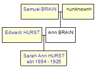Mini tree diagram