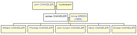 Mini tree diagram