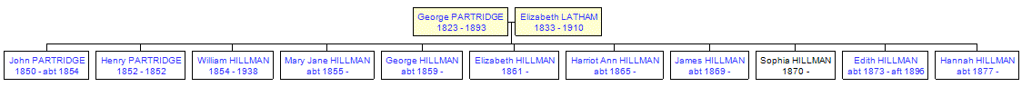 Mini tree diagram